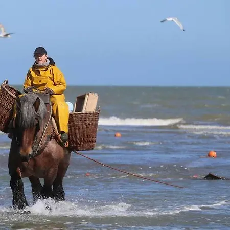 Zonnig Met 3 Slaapkamers En Gratis Parking Appartement Oostduinkerke-Bad