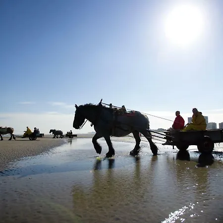 Zonnig Met 3 Slaapkamers En Gratis Parking Apartamento Oostduinkerke-Bad