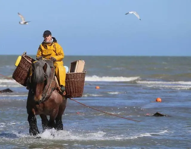 Zonnig Met 3 Slaapkamers En Gratis Parking Apartment Oostduinkerke-Bad